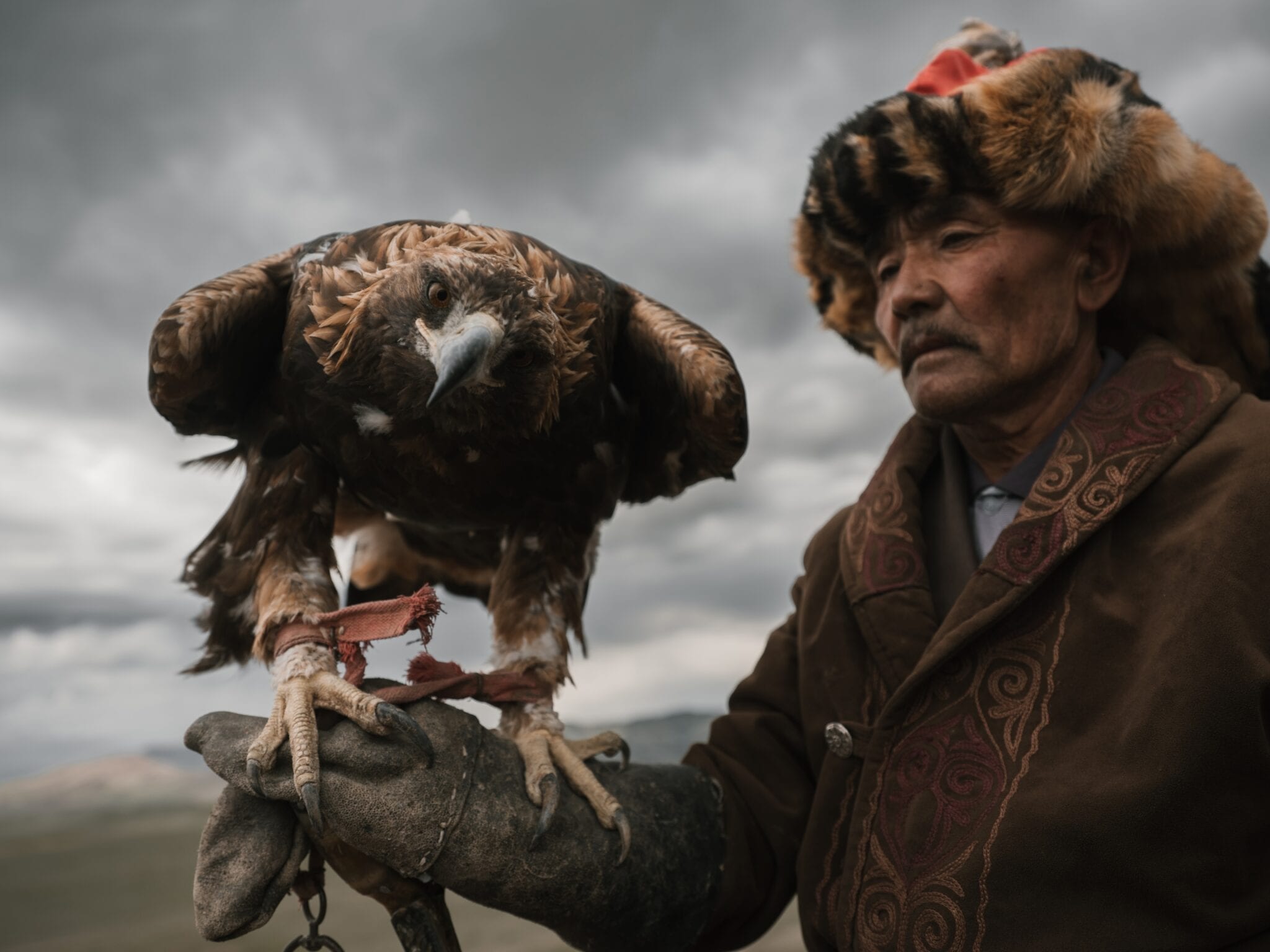 Mongolian Eagle and Hunter